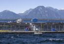 Derogación de la ley anti salmoneras: por qué salmonicultura en Tierra del Fuego implica un riesgo de «envenenar el mar» Derogación de la ley anti salmoneras: por qué salmonicultura en Tierra del Fuego implica un riesgo de «envenenar el mar»