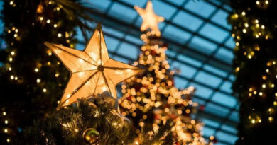 20251224 Navidad UNLZ