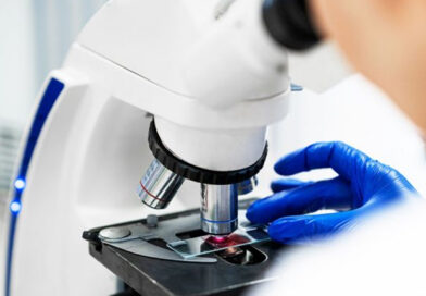 Excelencia científica: el CONICET arrasó en los Premios Fundación Williams 2025