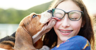 Lenguaje canino: por qué los perros lamen a las personas y qué intentan comunicar