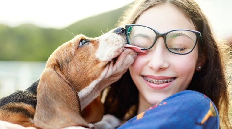 20251226 Perro perros lamen a las personas