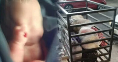 Hallaron a una recién nacida en un tacho de basura en San Martín Hallaron a una recién nacida en un tacho de basura en San Martín