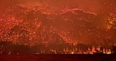 20260109 Incendio Patagonia