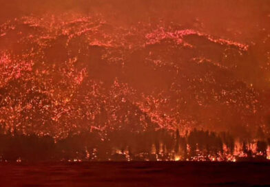 El fuego avanza en la Patagonia y acusan a Milei de un recorte del 70% en brigadistas