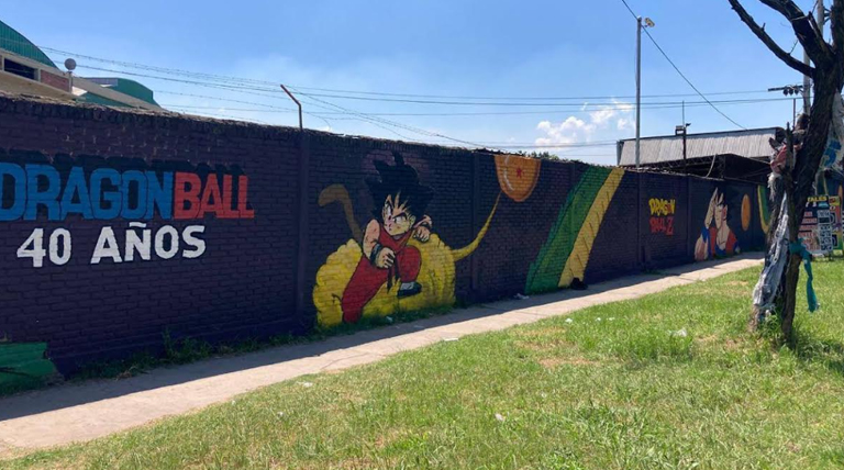 20260112 Brown Mural Dragonball Dragón Ball