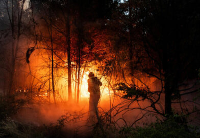 Crisis en la Patagonia: proponen declarar la emergencia ígnea y socioeconómica