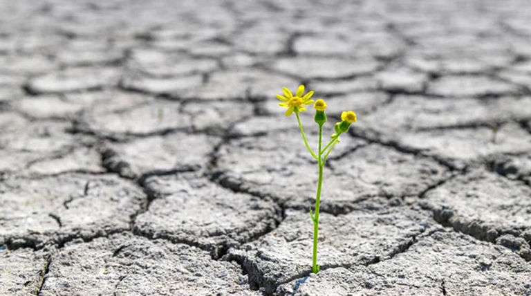 20260122 CAMBIO CLIMATICO fin de las estaciones