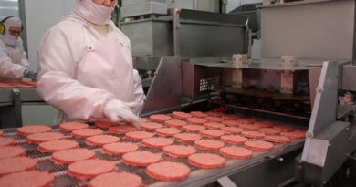 20260127 hamburguesas Uso de agrotóxicos en la Provincia de Buenos Aires