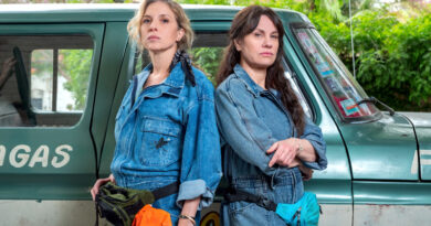 El tiempo de las moscas