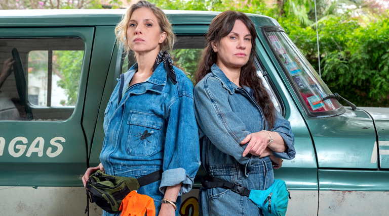 El tiempo de las moscas