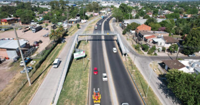 20261501 Puente peatonal brown IOMA