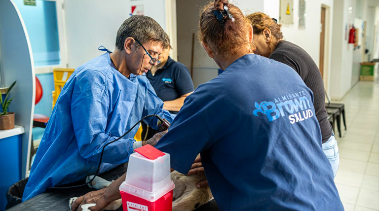 Esta semana Zoonosis Brown desembarca con operativos de castración en José Mármol 2 20260203 Brown Zoonosis 1 copia Zoonosis Brown