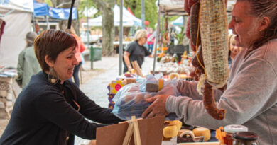 En febrero el “Circuito de Ahorro Brown” vuelve con productos de calidad a precios accesibles