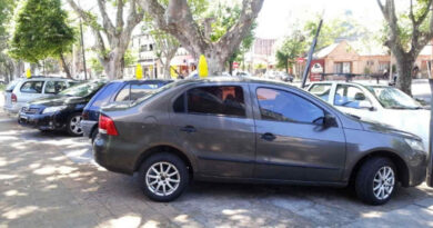 20260209 autos usados La ley de emergencia pública cayó después de 16 años