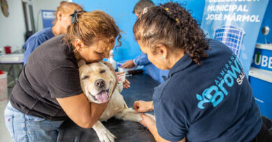 Zoonosis Brown desembarcó con un punto fijo de castración en Glew