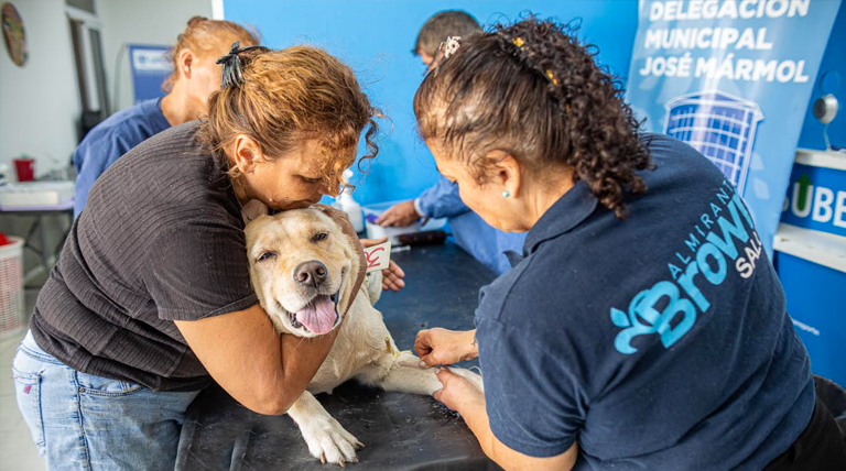 Zoonosis Brown desembarcó con un punto fijo de castración en Glew