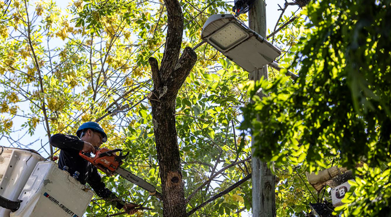 Profundizan operativos de despeje de luminarias en barrios de Alte Brown 2 20260226 brown luminaria poda1 luminarias en barrios de Alte Brown