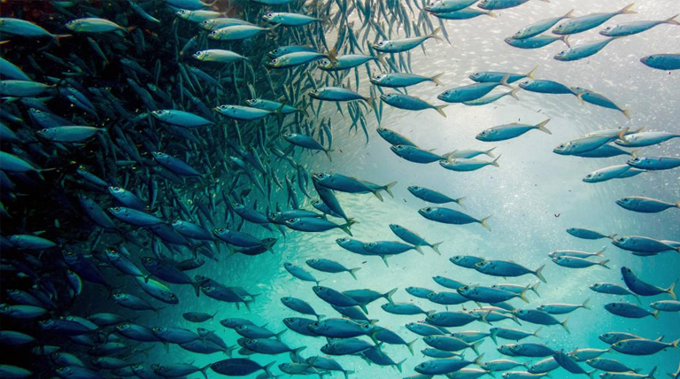 20260226 calentamiento calentamiento