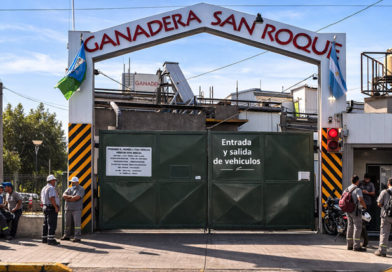 Crisis en la industria cárnica: el cierre del frigorífico San Roque dejó a 140 familias sin sustento