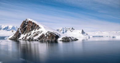 Alarma climática: la Antártida perdió más de 12.800 kilómetros de línea de apoyo en tres décadas