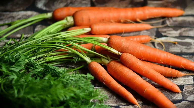 20220310 ZANAHORIA zanahoria