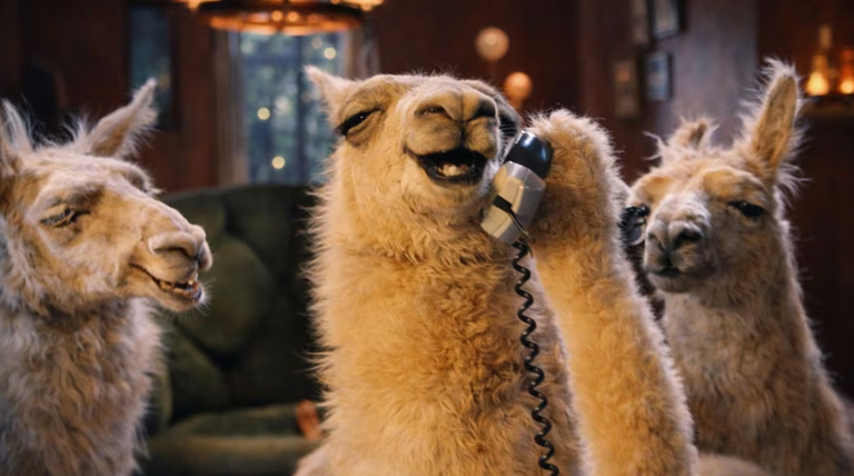 20260301 LLAMA QUE LLAMA La llama que llama