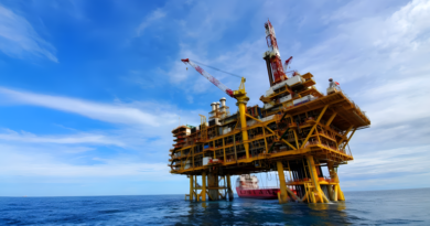 20260330 MALVINAS trigo expotación