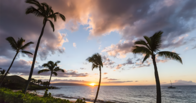 20260402 adorni formación para beneficiarios de programas sociales