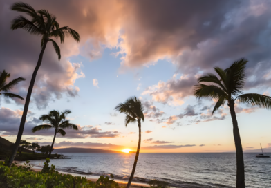 La justicia investiga un posible viaje de Adorni a Hawái en vuelo privado