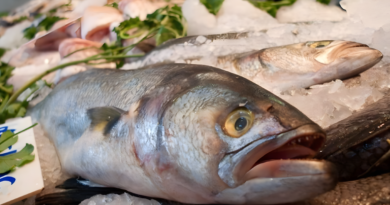 20260402 pescado vacuna Sputnik V