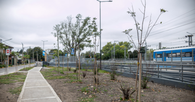 Durante último año el Municipio forestó con más de mil plantas nativas los espacios públicos del distrito Durante último año el Municipio forestó con más de mil plantas nativas los espacios públicos del distrito