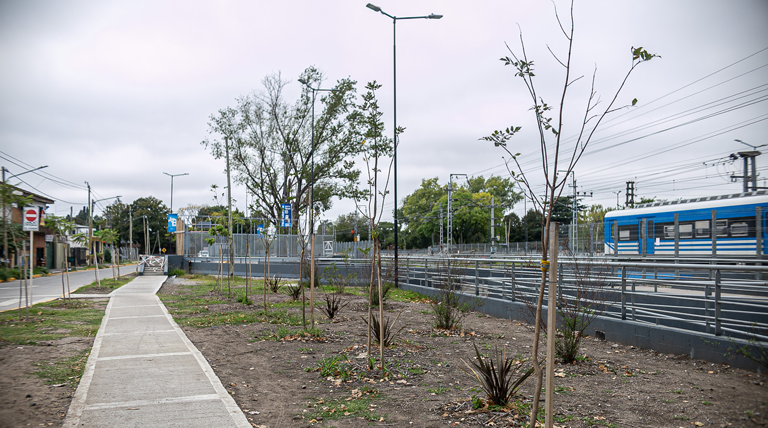 Durante último año el Municipio forestó con más de mil plantas nativas los espacios públicos del distrito Durante último año el Municipio forestó con más de mil plantas nativas los espacios públicos del distrito
