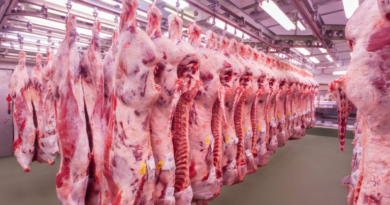 20260410 Carne Medidas por el coronavirus