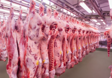 La carne volvió a presionar la inflación: aumentó más del 10% durante marzo La carne volvió a presionar la inflación: aumentó más del 10% durante marzo