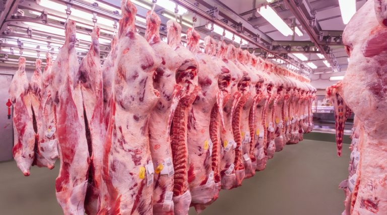 La carne volvió a presionar la inflación: aumentó más del 10% durante marzo La carne volvió a presionar la inflación: aumentó más del 10% durante marzo