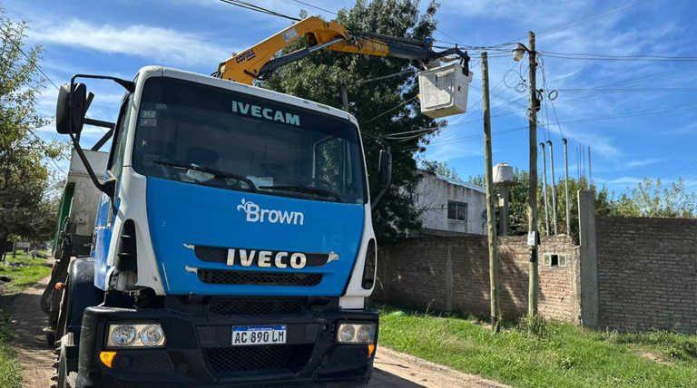 20260414 BROWN SUMA Brown Suma