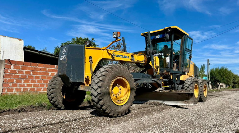 20260414 BROWN SUMA1 Brown Suma