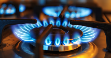 20260422 SERVICIOS GAS HORNALLA crisis