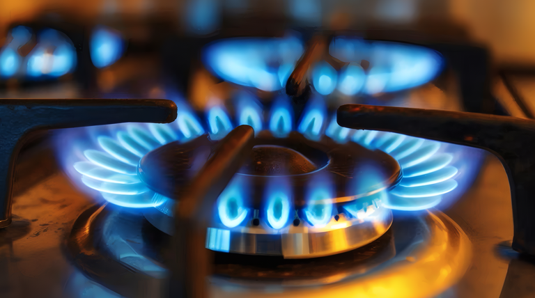 20260422 SERVICIOS GAS HORNALLA Subsidios al gas