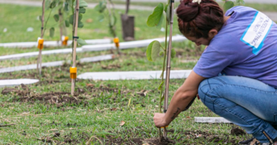 Alte Brown fortalece su perfil como pulmón verde con un gran operativo de forestación en el parque Don Orione