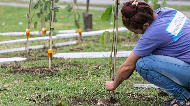 Alte Brown fortalece su perfil como pulmón verde con un gran operativo de forestación en el parque Don Orione