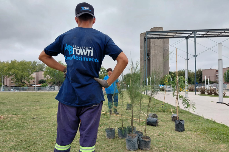 20260423 alte brown arboles1 Don Orione