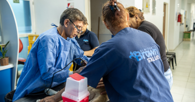 Zoonosis brown conmemora «El Día del Animal» con operativo gratuito de castración y vacunación en Don Orione