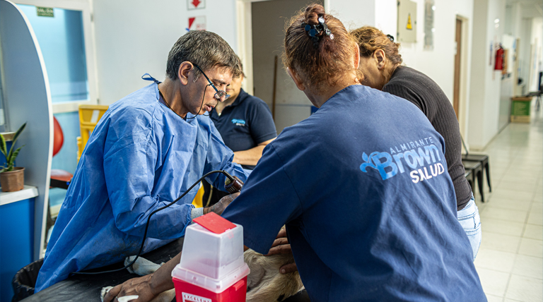 Zoonosis brown conmemora «El Día del Animal» con operativo gratuito de castración y vacunación en Don Orione