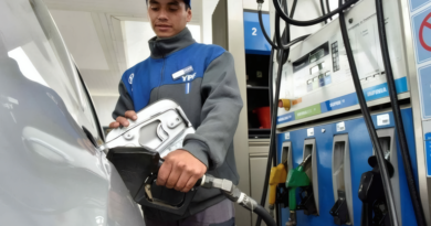 20260501 COMBUSTIBLES variantes del Reino Unido y de Manaos