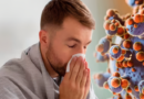 Hantavirus: cómo identificar los síntomas y prevenir el contagio