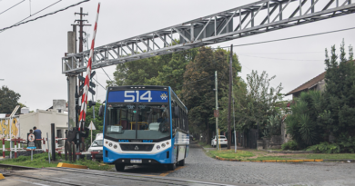 Confirman el nuevo ramal de colectivo que conecta Solano, San José, Mármol y Adrogué Confirman el nuevo ramal de colectivo que conecta Solano, San José, Mármol y Adrogué