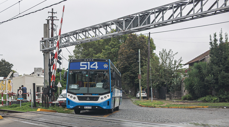 Confirman el nuevo ramal de colectivo que conecta Solano, San José, Mármol y Adrogué Confirman el nuevo ramal de colectivo que conecta Solano, San José, Mármol y Adrogué