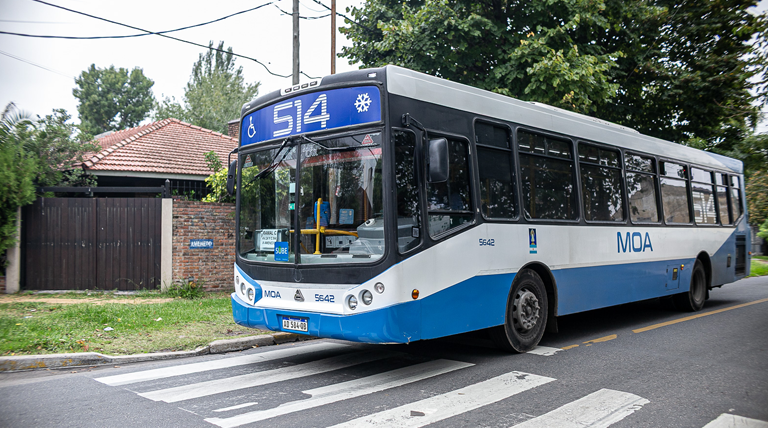 Confirman el nuevo ramal de colectivo que conecta Solano, San José, Mármol y Adrogué 2 20260518 514 ramal colectivo1 nuevo ramal
