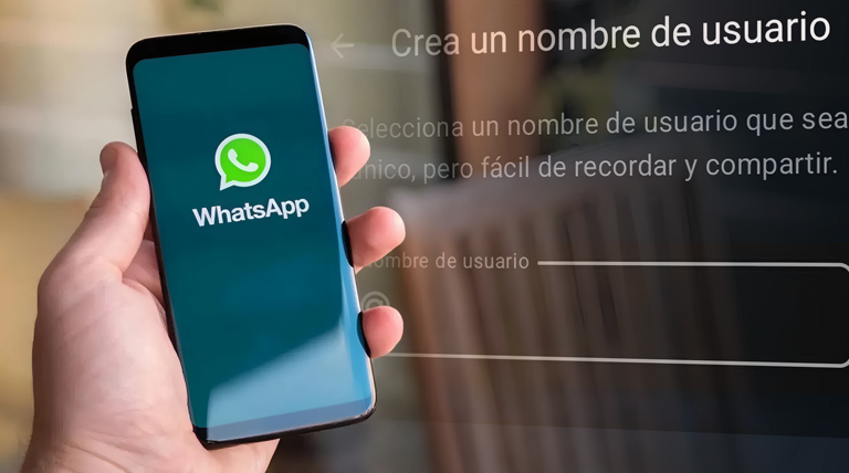 20260630 whatsApp usuario whatsapp
